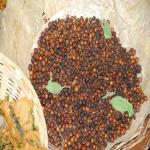 Vraj-Yatra-2014- (963)